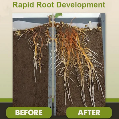 LAATSTE DAG AANBIEDING 🌱 Vloeibare meststof voor plantengroei