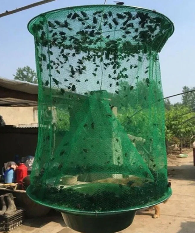 Fast Fly Catcher™ - Herbruikbaar - 100% niet-giftig en biologisch 2025 | KOOP HET NU