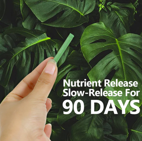 🌱 Plantenspikes met langzame afgifte Plantenmeststof Sticks 