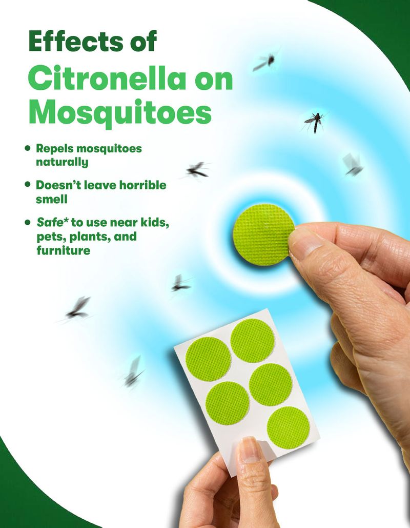 50% de descuento HOY 💥Parches naturales antimosquitos 